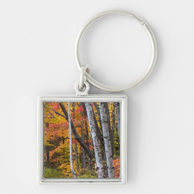 Herbstfarbe in der Nähe des Hafens von Kupfer Schlüsselanhänger (Vorne)