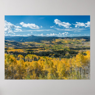 Herbstfarbe in Flat Tops Routt National Forest Poster