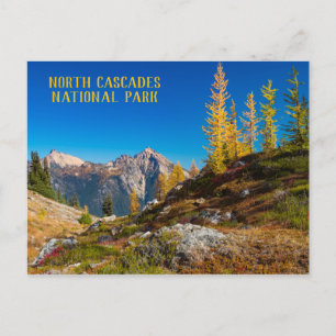 Herbstfarbe in Nordkaskaden Postkarte