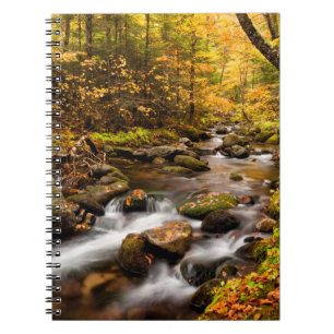 Herbstfarbe Jefferson Brook   White Mountains Notizblock