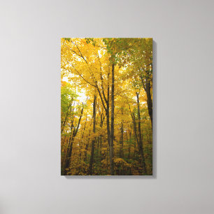 Herbstfarbe, Michigan Leinwanddruck