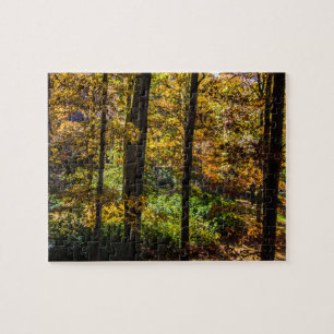 Herbstfarben