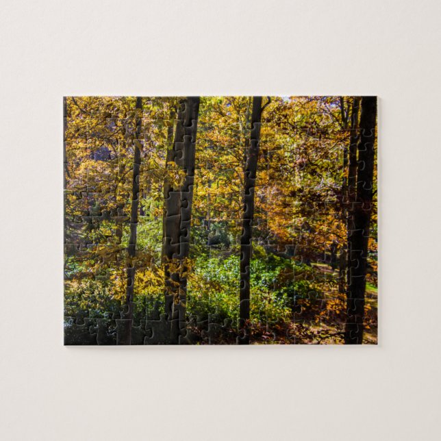 Herbstfarben (Horizontal)