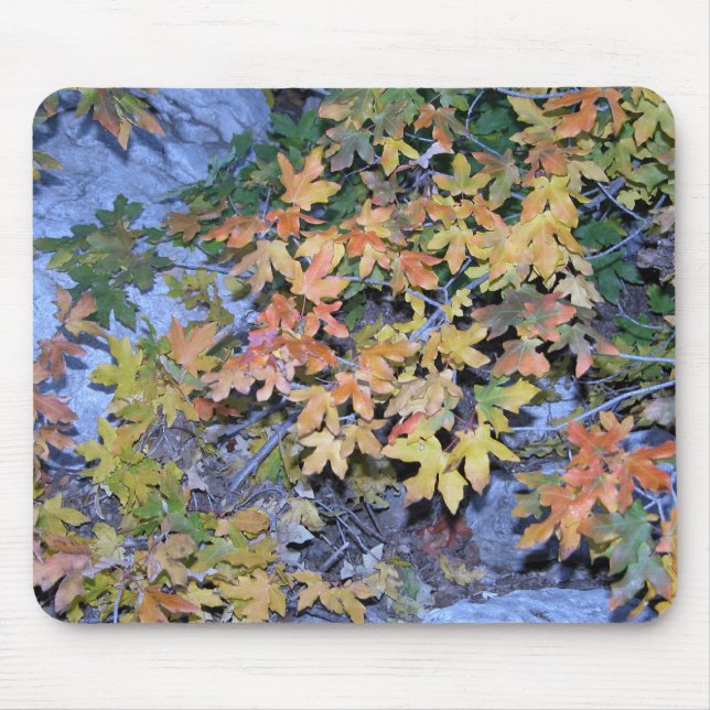 Herbstfarben 1 mousepad (Vorne)