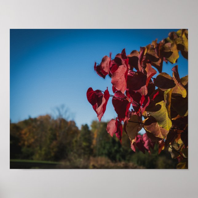 Herbstfarben (3) poster (Vorne)