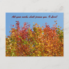 Herbstfarben 4 postkarte