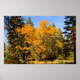 Herbstfarben 5 Poster