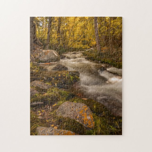 Herbstfarben am Crestone Creek (Vertikal)