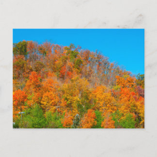 Herbstfarben am Hillside, Südindiana Postkarte