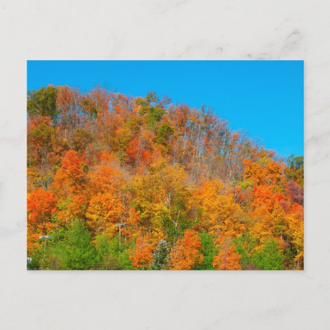 Herbstfarben am Hillside, Südindiana Postkarte (Vorderseite)