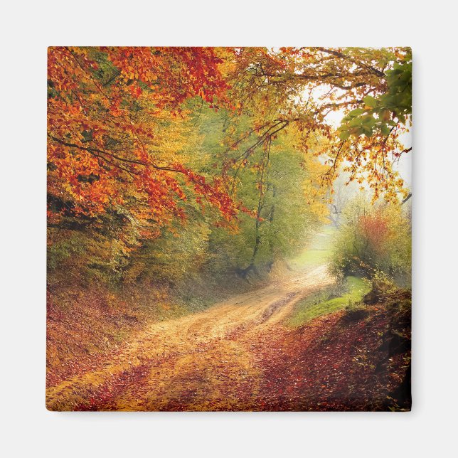 Herbstfarben ändern magnet (Vorne)