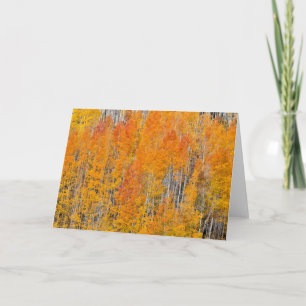 Herbstfarben auf Aspen Groves Karte
