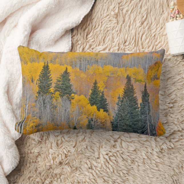 Herbstfarben auf Aspen Groves Lendenkissen (Decke)