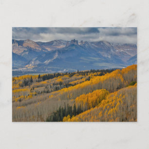 Herbstfarben auf Aspen Groves Postkarte