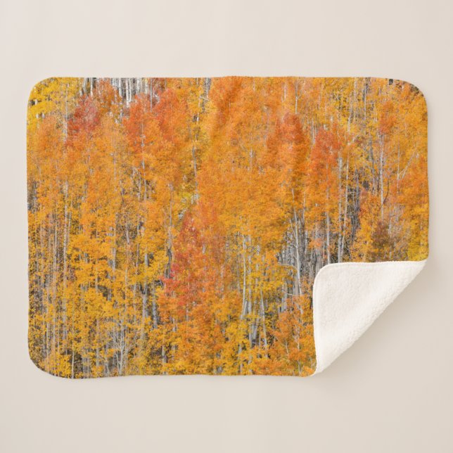 Herbstfarben auf Aspen Groves Sherpadecke (Vorderseite (Horizontal))