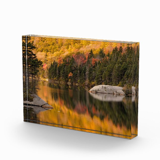 Herbstfarben auf dem Biberteich Fotoblock (Rechts)