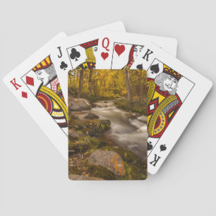 Herbstfarben auf der Cresteincreme Spielkarten