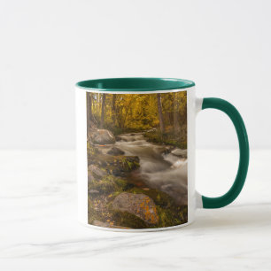 Herbstfarben auf der Cresteincreme Tasse