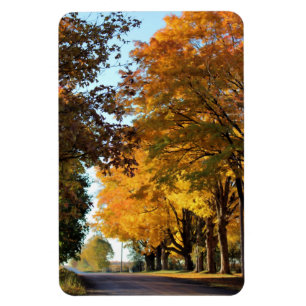 Herbstfarben auf der Landstraße Magnet