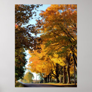 Herbstfarben auf der Landstraße Poster