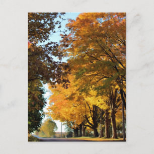 Herbstfarben auf der Landstraße Postkarte