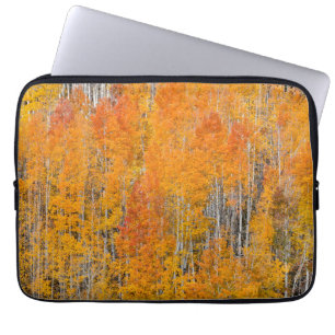 Herbstfarben auf Espenhainen Laptopschutzhülle