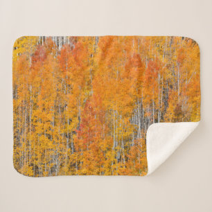 Herbstfarben auf Espenhainen Sherpadecke