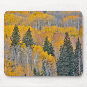 Herbstfarben auf Espenwäldchen Mousepad