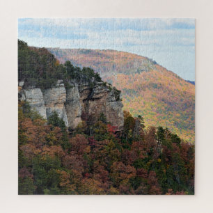 Herbstfarben auf Signalberg - 20 x 20