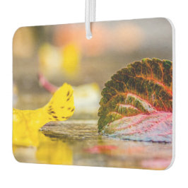 Herbstfarben Autolufterfrischer