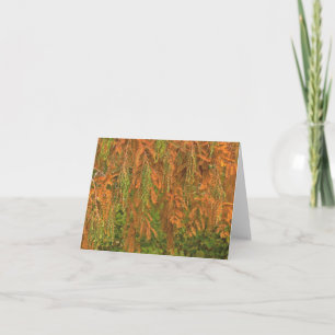 HERBSTFARBEN (BAUMORANGIEN UND GRÜNTÖNE) NOTECARD KARTE