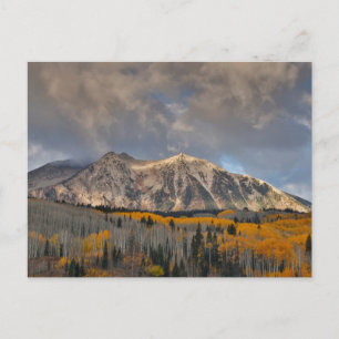 Herbstfarben der Espen, Keebler Pass Postkarte