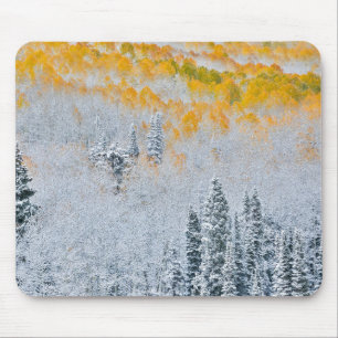 Herbstfarben der Espen Rocky Mountains, Colorado Mousepad