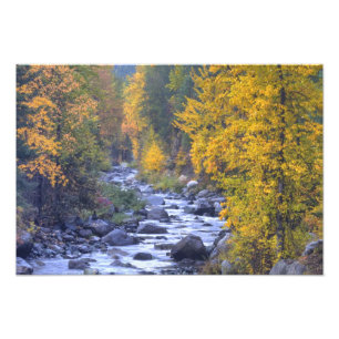 Herbstfarben der Wälder in The Cascade 5 Fotodruck