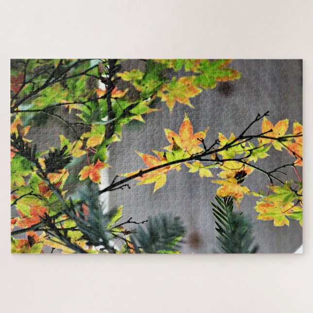 Herbstfarben des Ahornbaums (Horizontal)