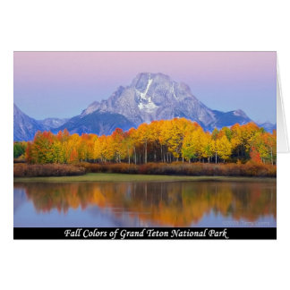Herbstfarben des Grand Teton Nationalparks