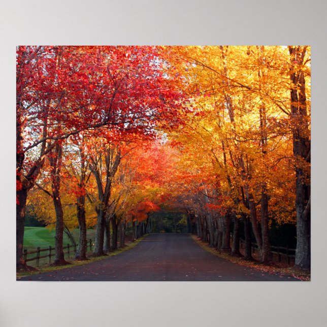 Herbstfarben drucken poster (Vorne)