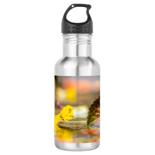 Herbstfarben Edelstahlflasche