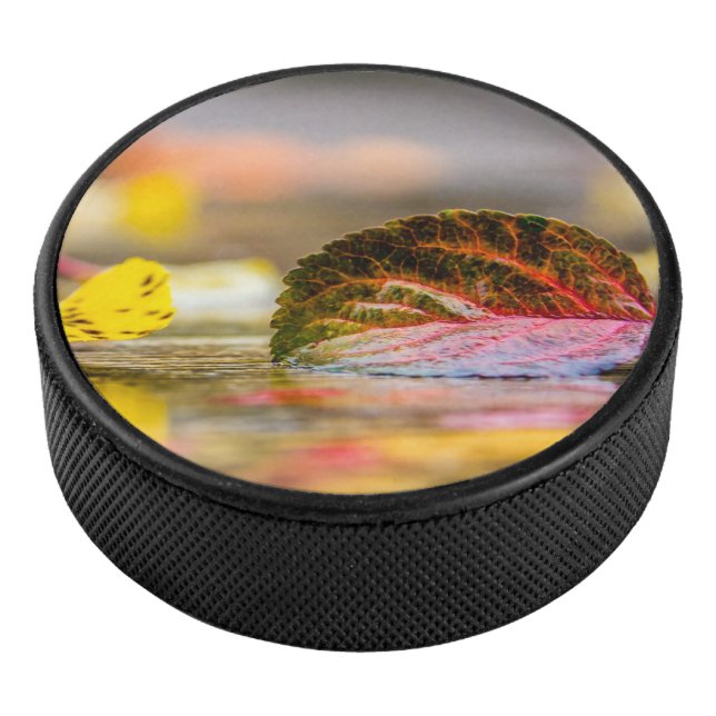 Herbstfarben Eishockey Puck (3/4)