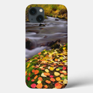Herbstfarben entlang der McGee Creek title_seo2