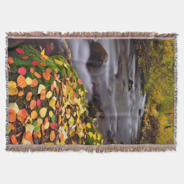 Herbstfarben entlang der McGee Creek Decke (Vorderseite)