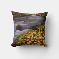 Herbstfarben entlang der McGee Creek