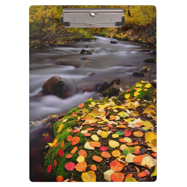 Herbstfarben entlang der McGee Creek Klemmbrett (Vorderseite)