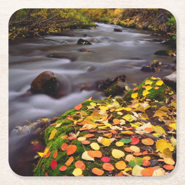 Herbstfarben entlang der McGee Creek Rechteckiger Pappuntersetzer (Vorderseite)