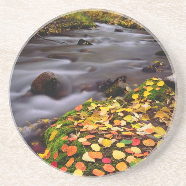Herbstfarben entlang der McGee Creek Sandstein Untersetzer (Vorne)