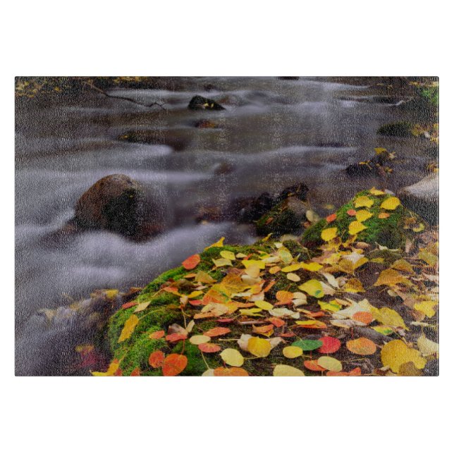 Herbstfarben entlang der McGee Creek Schneidebrett (Vorderseite)