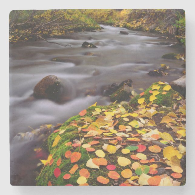 Herbstfarben entlang der McGee Creek Steinuntersetzer (Vorderseite)