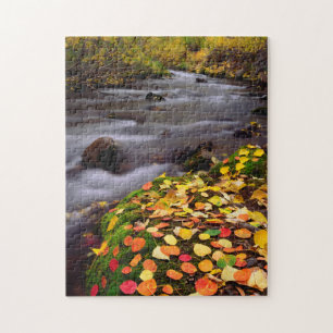 Herbstfarben entlang des McGee Creek