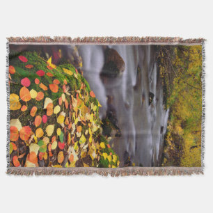 Herbstfarben entlang des McGee Creek Decke