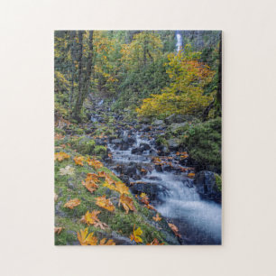 Herbstfarben entlang des Starvation Creek Falls